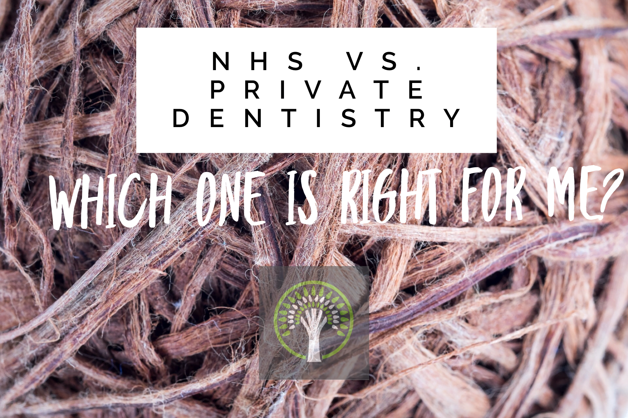 NHS Vs. Private Dentistry: Which One Is Right For Me?