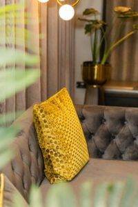 Eccleshill Dental-194