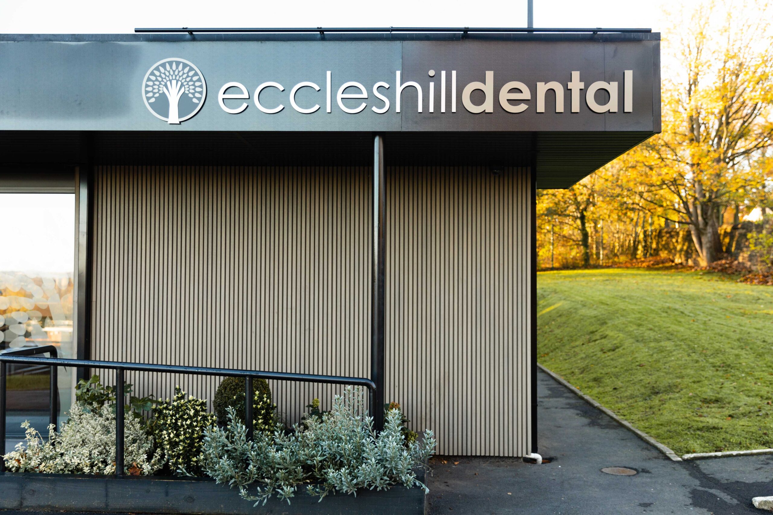 How Often Should You Really Get a Dental Checkup